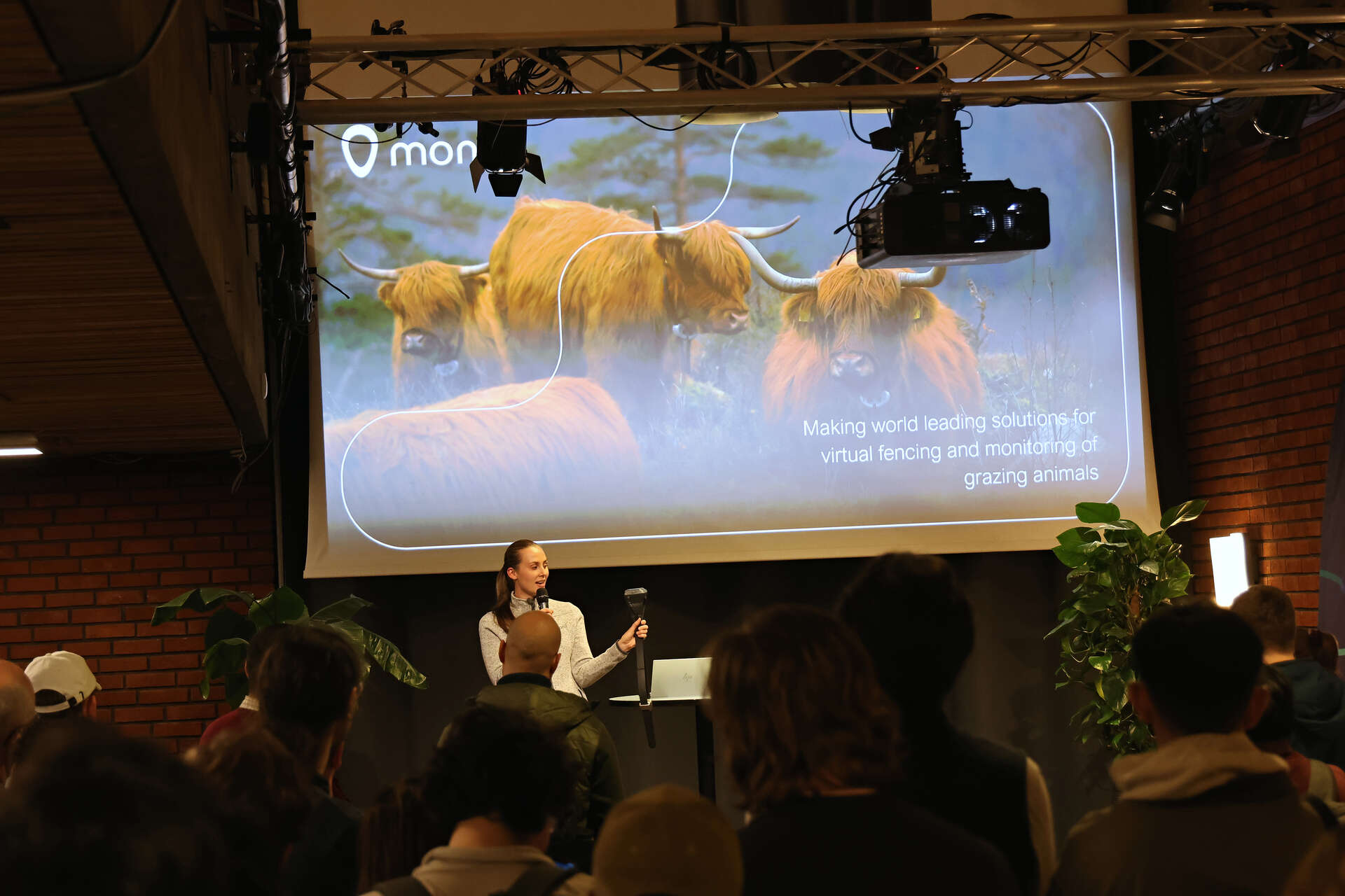 Start up pitch