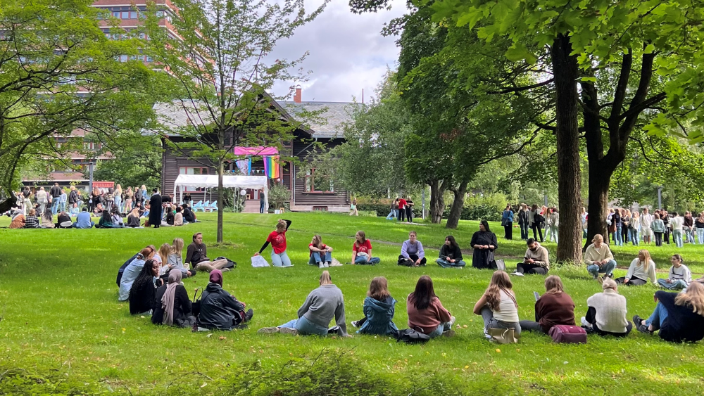 Students sitting together in groups on a lawn