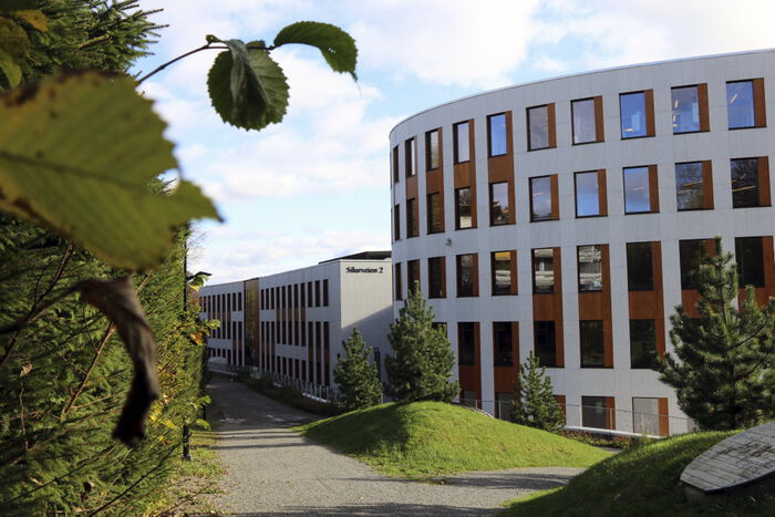 Big building with lawn and shrubbery surrounding it