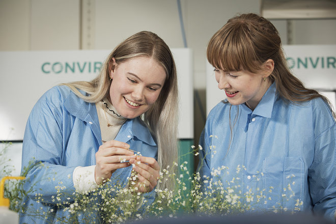 smile, women, biology, studying a flower