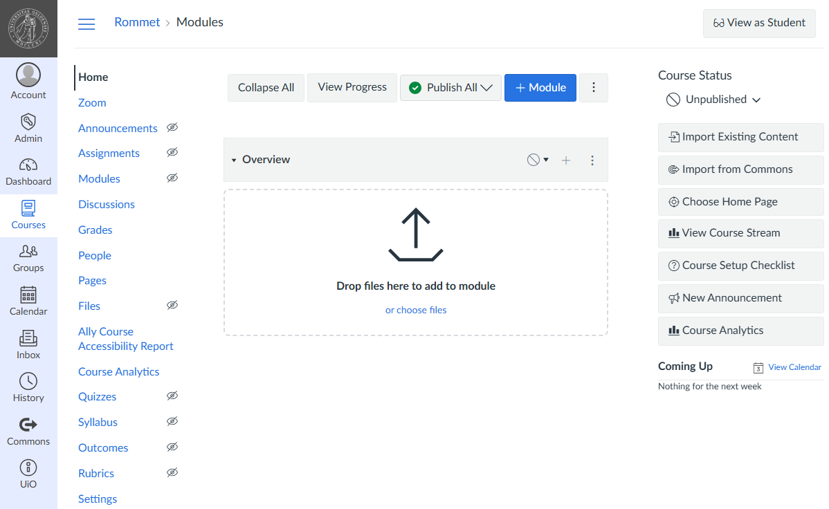 Screenshot of a new, empty room in Canvas at UiO