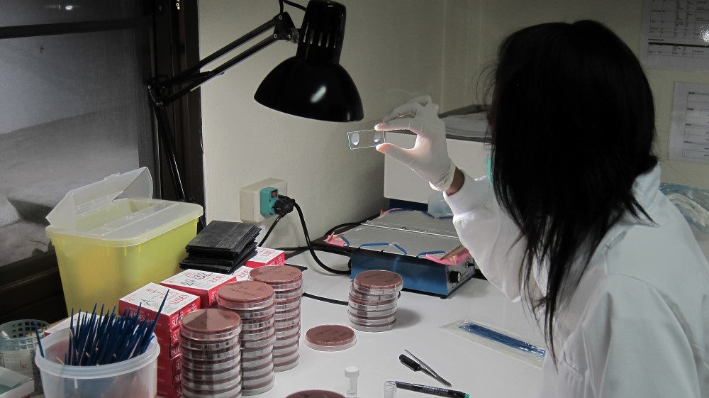 Image shows a woman in a lab coat studying a sample in front of a stack of agar dishes.