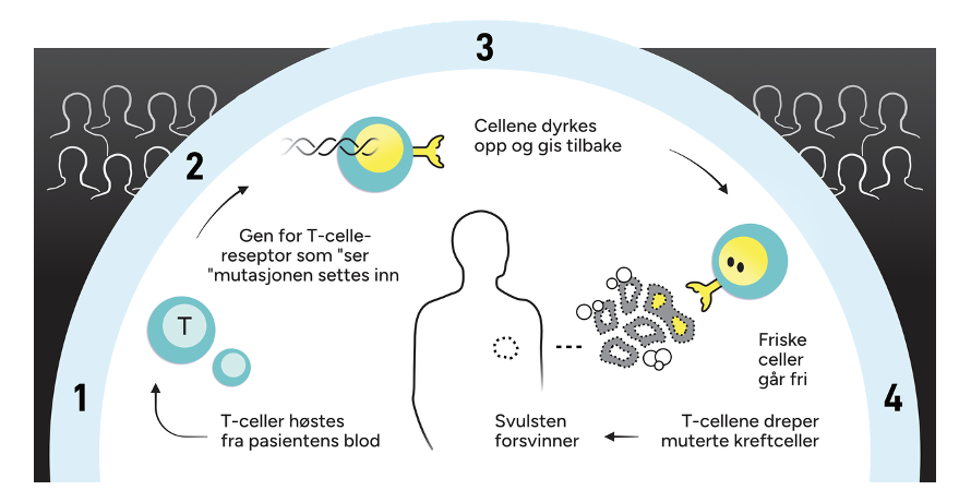 Illustration of the projec