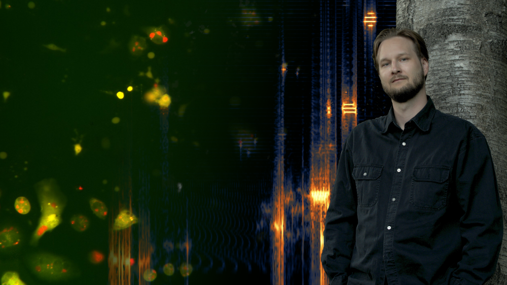 An illustration of image sonification. A microscopy image of fruit fly cells (from the CELLULAR dataset) on the left transitions across the frame into a time-frequency spectrogram of the resulting audio data, serving as the backdrop for portrait photo of Bálint on the right.