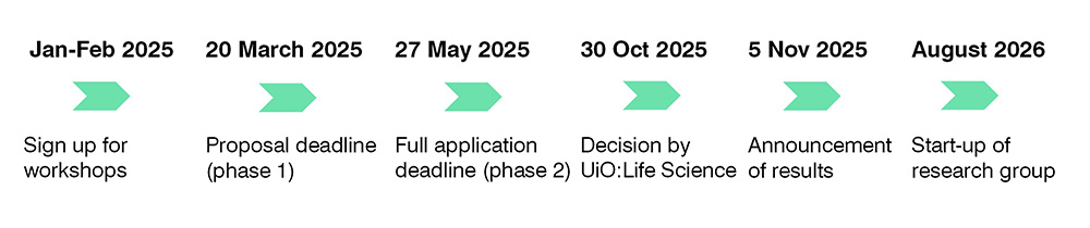Timeline of the application process.