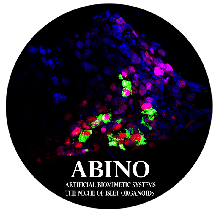 ABINO - graphics of the project 