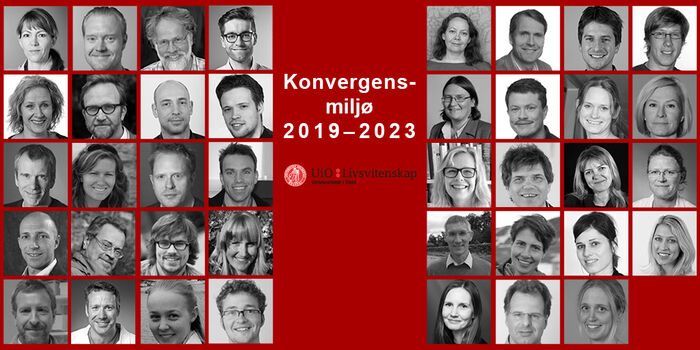 Convergence Environments 2019-2023.