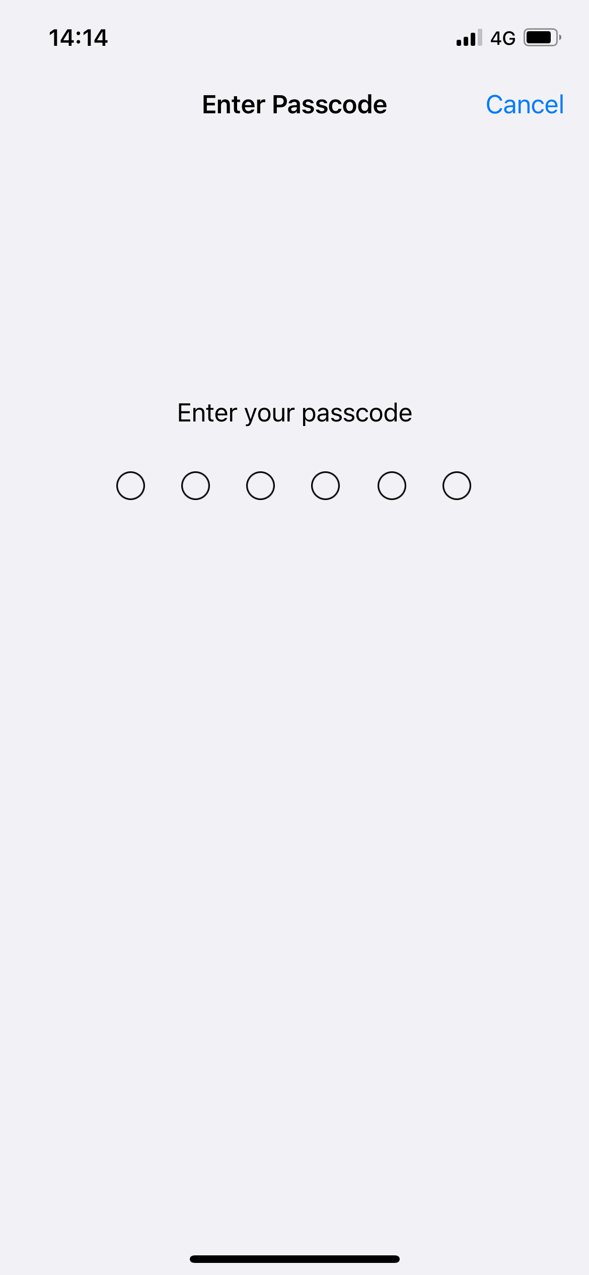 Screen asking for screen lock for confirmation
