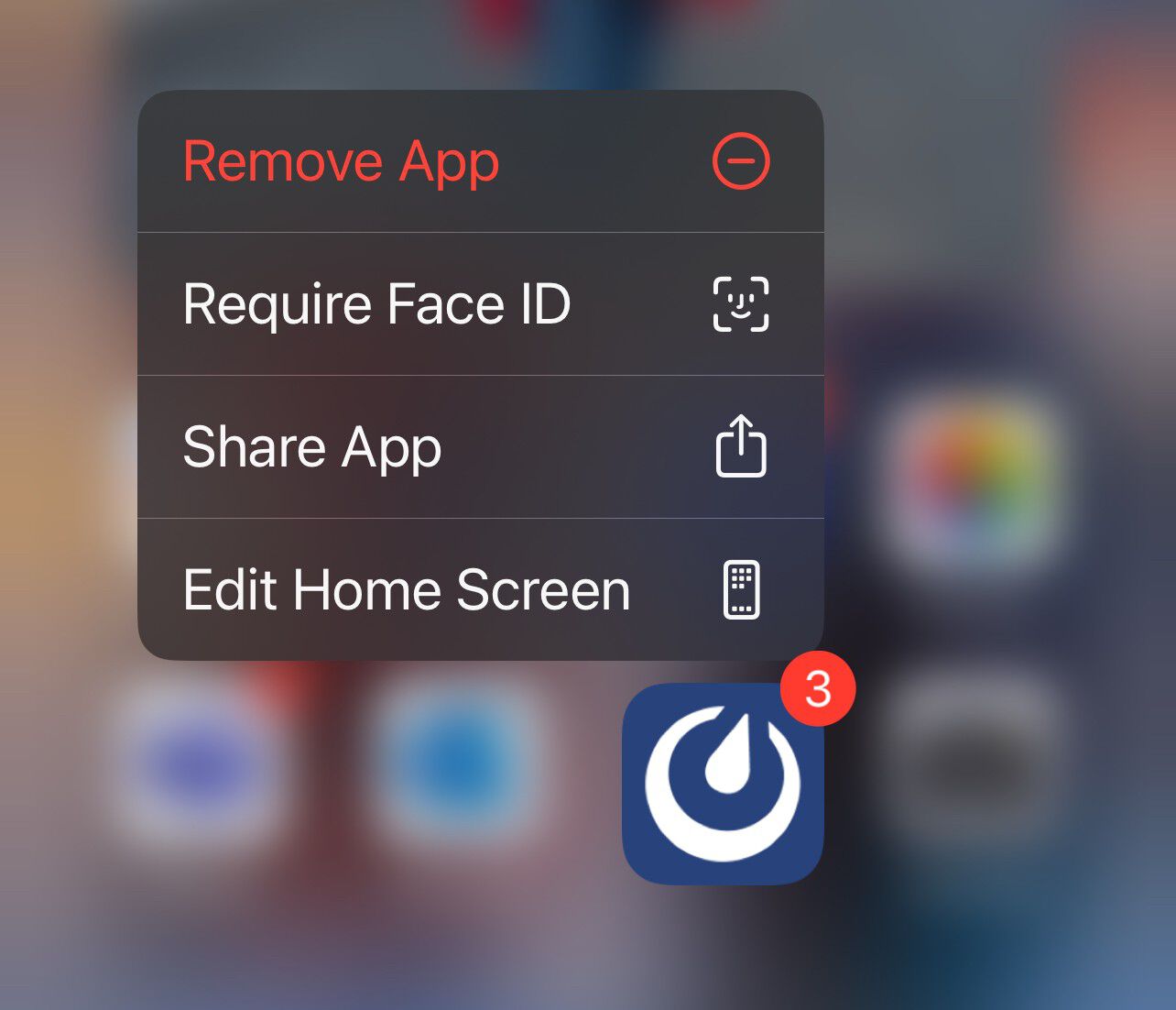 Screenshot of the menu where you enable Face ID