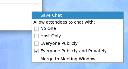 Save Chat