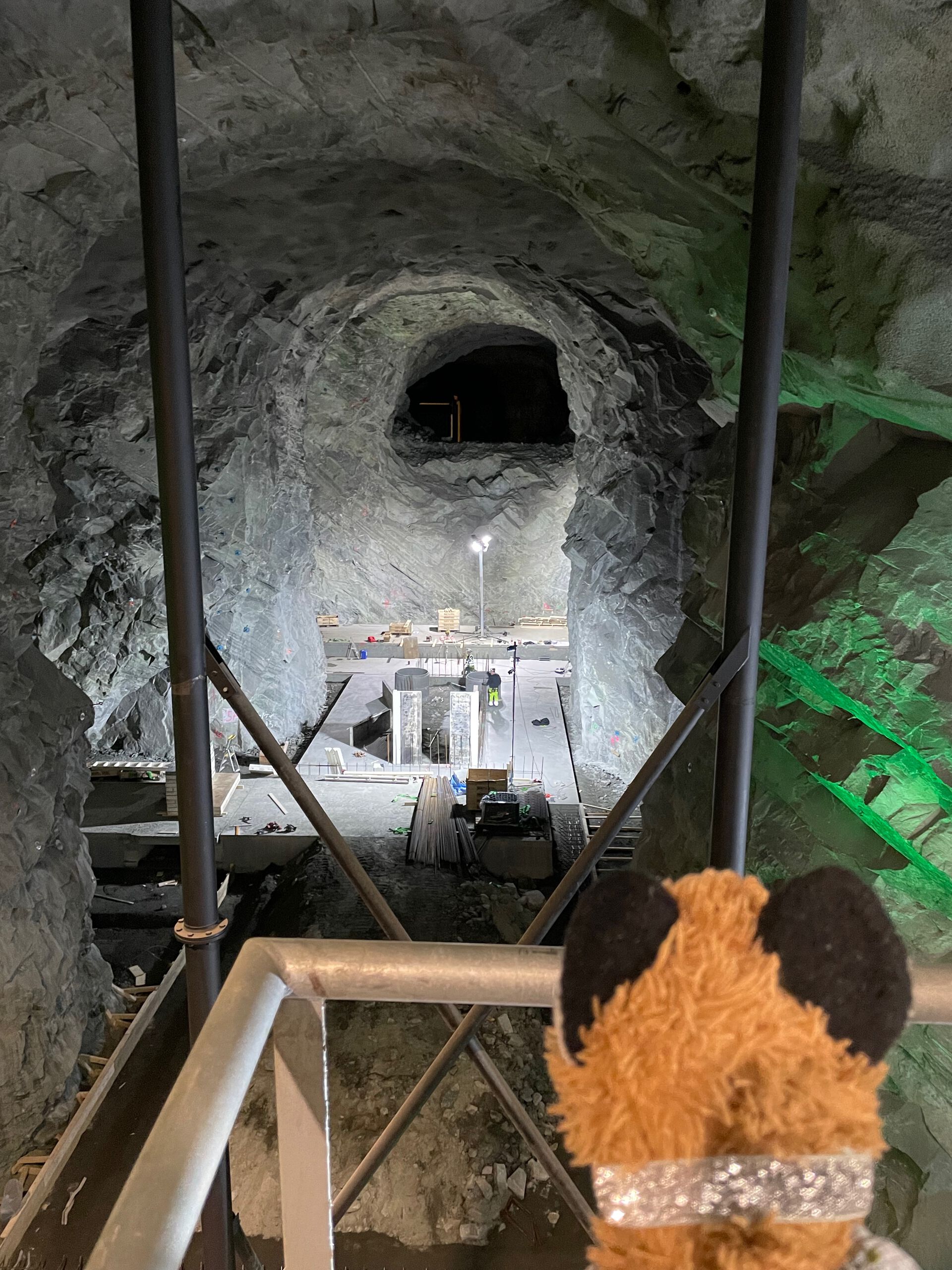 Stuffed fox checking out construction work for A2 in LMD. Photo: Jon Kerr Nilsen, UiO