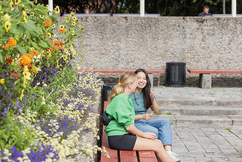 Students at campus