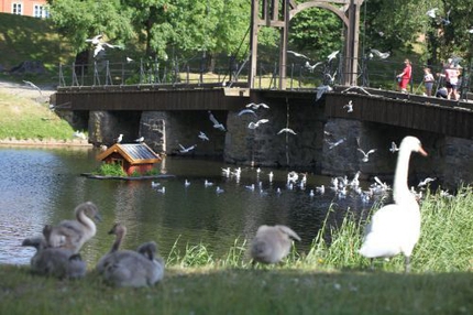 river walk in oslo; Akerselva