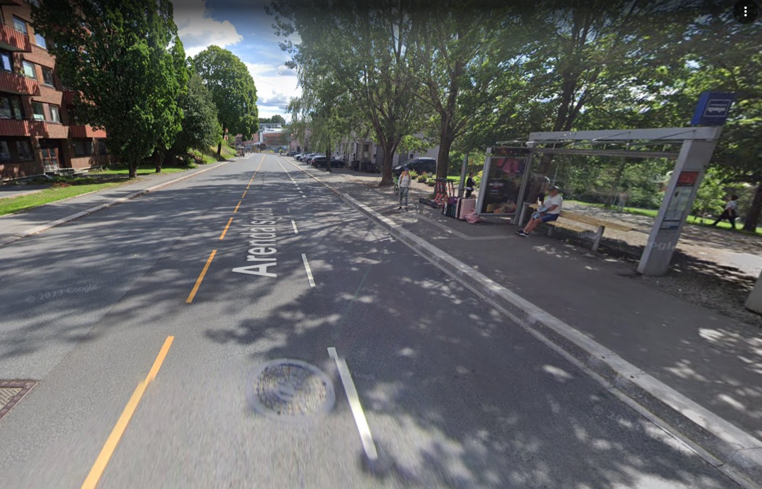 Image may contain: Plant, Road surface, Tree, Asphalt, Building.
