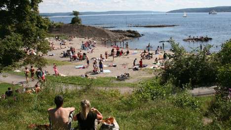 lake, summer, swimming