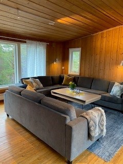 Sofa med nytt teppe. Nye vinduer i 2024.