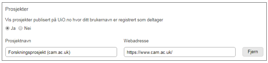 Utfylte felt med navn og nettadresse for et forskningsprosjekt. 
