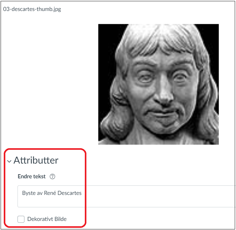 Skjermbilde av bildeopplastingsboks i Canvas hvor man kan legge inn alternativ tekst på bildet eller huke av for at bildet er dekorativt