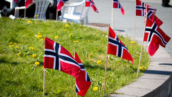 Bilde av norske flag stående i gresset