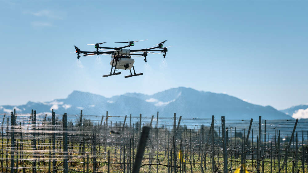 Bilde av en drone som sprøyter vinmarker i Sveits.