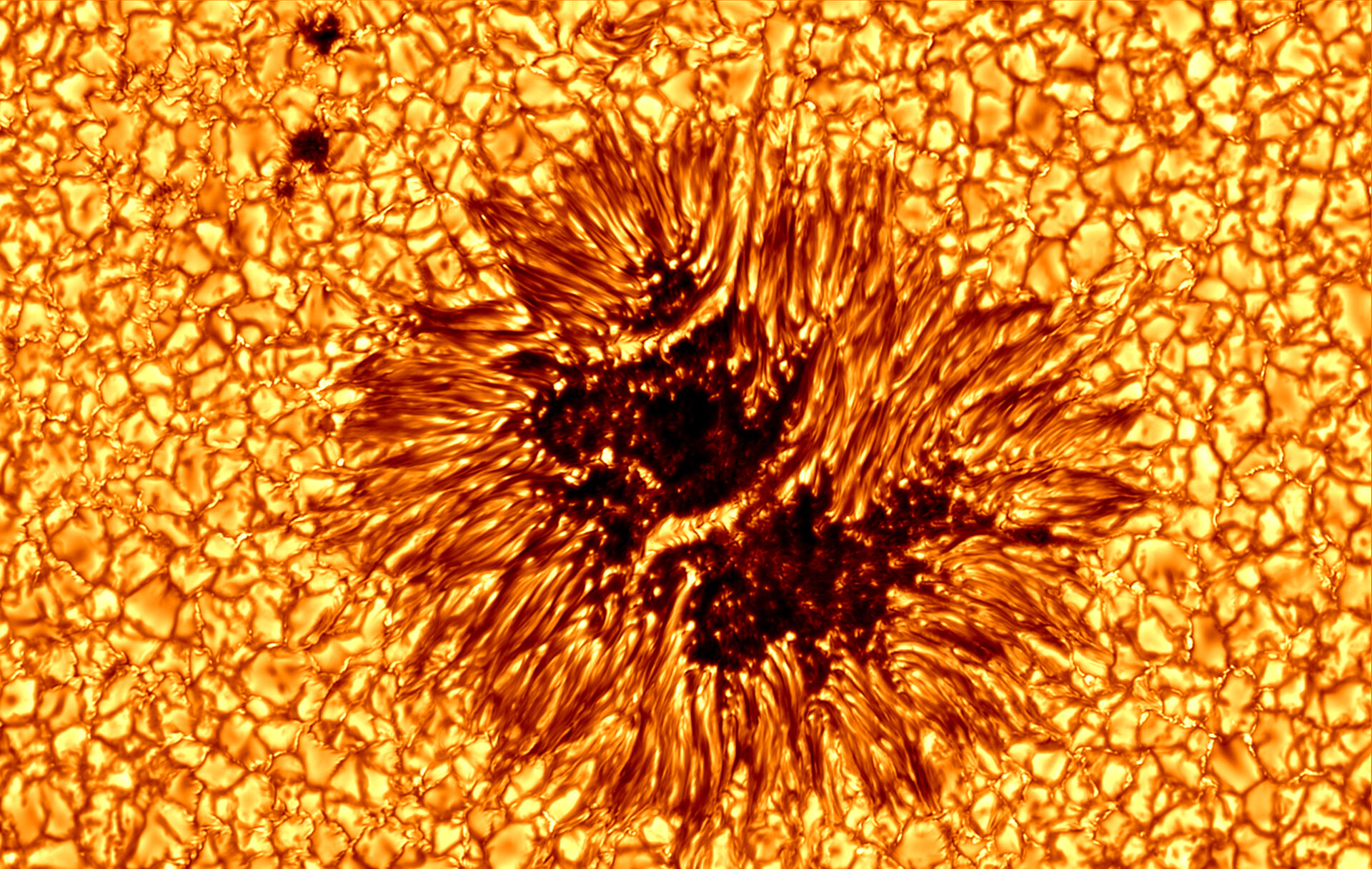 solflekk