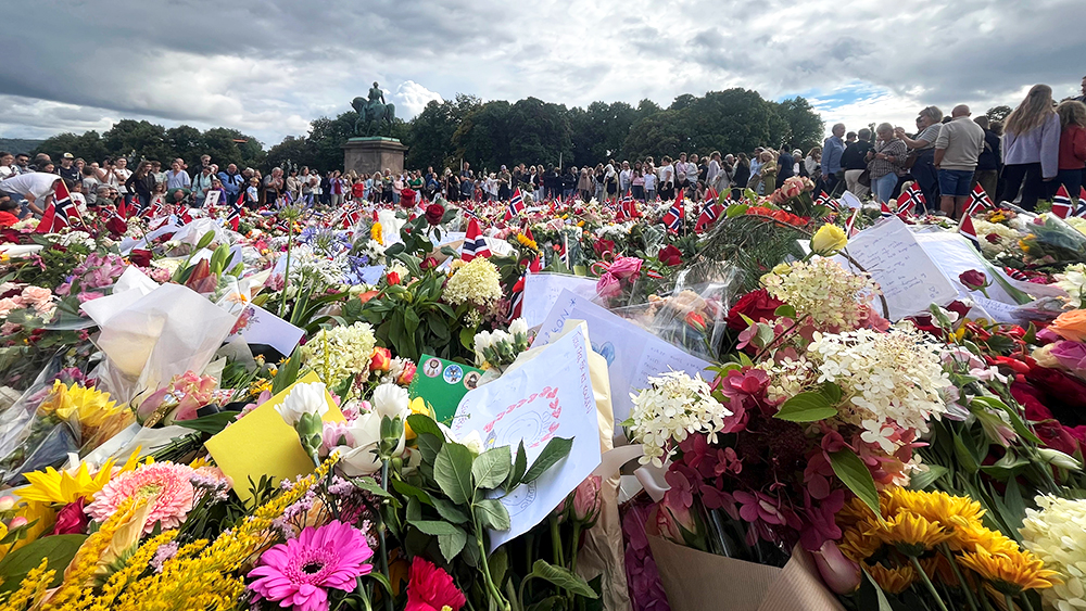 Et blomsterhav på Slottsplassen.