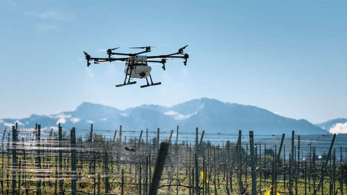 Ein drone som flyg tett over ein vingard.