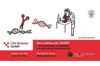 I oktober arrangerte vi livsvitenskap i lunsjen om genredigering med CRISPR – teknologien, mulighetene, bruk og etiske betraktninger.
Se opptak av innlegget til&amp;#160;Sigrid Bratlie fra Bioteknologirådet.&amp;#160;
Livsvitenskap i lunsjen er en seminarserie som er et samarbeid mellom fakulteter og institutter, Studentparlamentet, Realfagsbiblioteket og UiO:Livsvitenskap.
Også i juni hadde vi CRISPR på programmet. Sammen med Bioteknologirådet var vi vertskap&amp;#160;for en gjesteforelesning med svenske Fredrik Lanner. Han snakket om hvordan de&amp;#160;har kartlagt i detalj hvordan gener styrer fosterutviklingen hos mennesker og hvilke planer de har for å forske på genredigerte embryoer ved bruk av CRISPR.
Les mer og se opptak av foredraget.