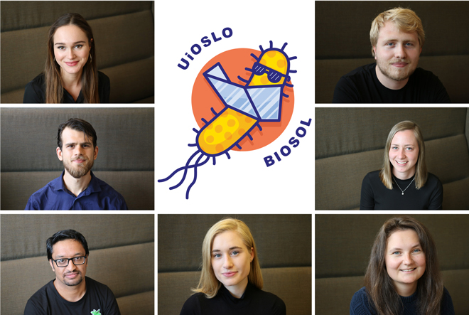 iGEM-laget 2019