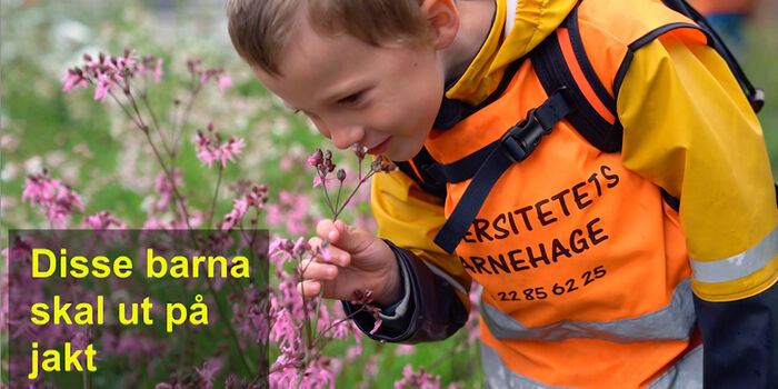 Barn på jakt etter blomster og bier