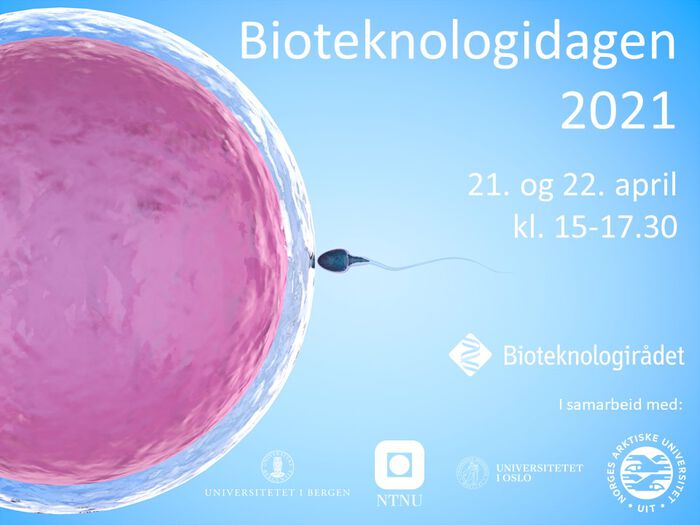 sædcelle, egg
