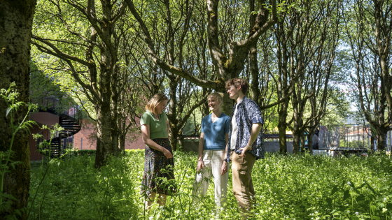 Bildet kan inneholde: plante, mennesker i naturen, grønn, gren, tre.