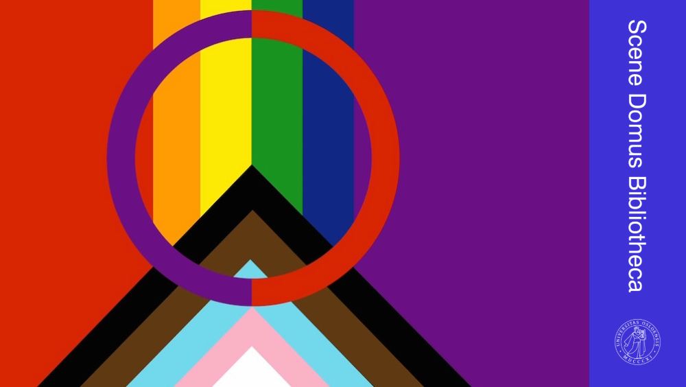Sapmi pride flagg