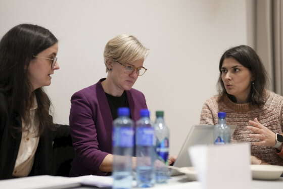 Mirjana i samtale med undervisere i universitetspedagogisk basisprogrammet.