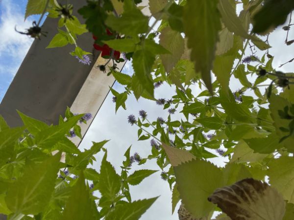 utsikt fra LINK -terrassen. Foto: Tatsiana Komissarova