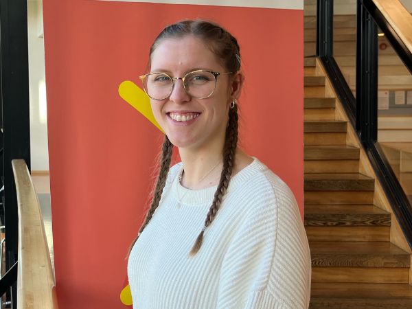 Iris i praksis på LINK