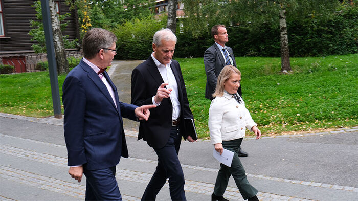 Bildet kan inneholde: dressbukse, anlegg, tre, slips, gest.