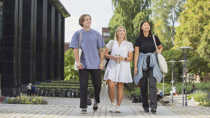 Studenter som smiler til hverandre i en trapp på Frederikkeplassen