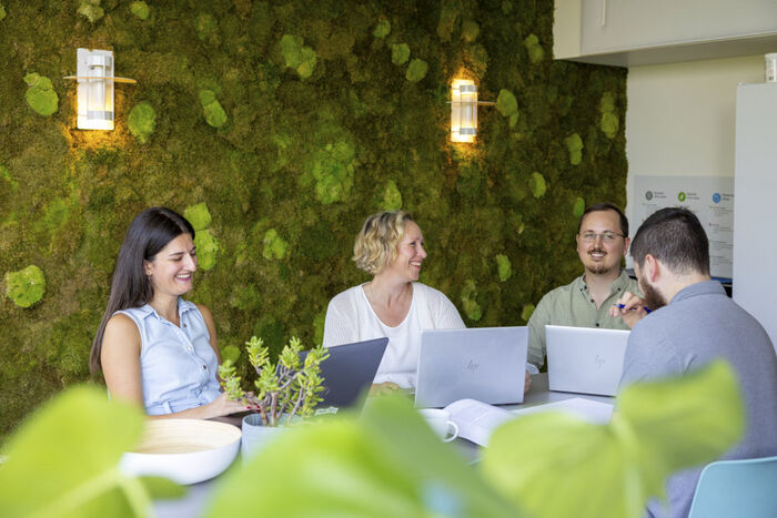 Fire ansatte sitter rundt PC-ene sine i et grønt møterom. 