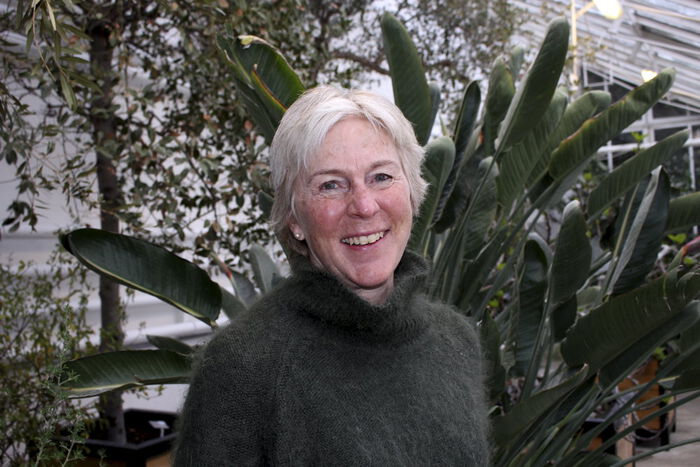 Bildet kan inneholde: smil, plante, blad, botanikk, terrestrisk plante.