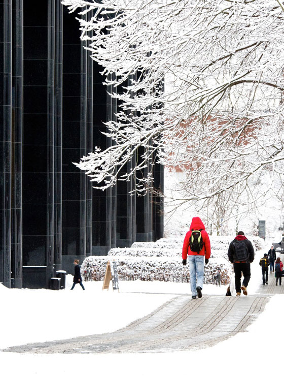 Studenter ikledd vinterklær går langs en sti 