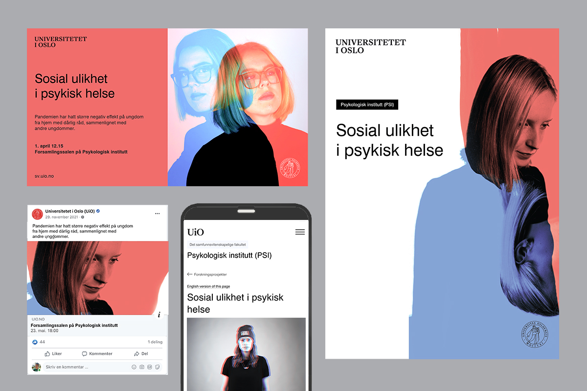 Skjermdump av grafisk profil i system
