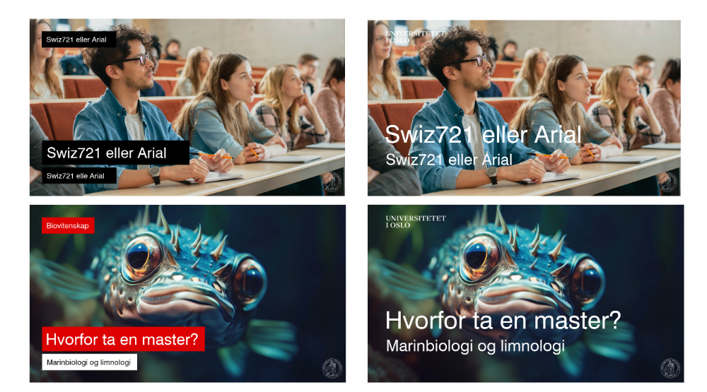 Utsnitt av en video som viser eksempler på tekst
