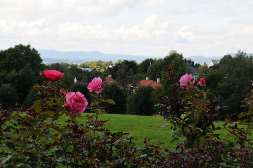 Foran benkeraden er det anlagt et rosebed. Buskrosen &amp;#8216;Romanze&amp;#8217; har store, rosarøde blomster, blankt bladverk og en nydelig duft. &amp;#8216;Romanze&amp;#8217; er en av de mest populære moderne buskrosene i Norge, og er flere ganger blitt kåret til landets vakreste rose.