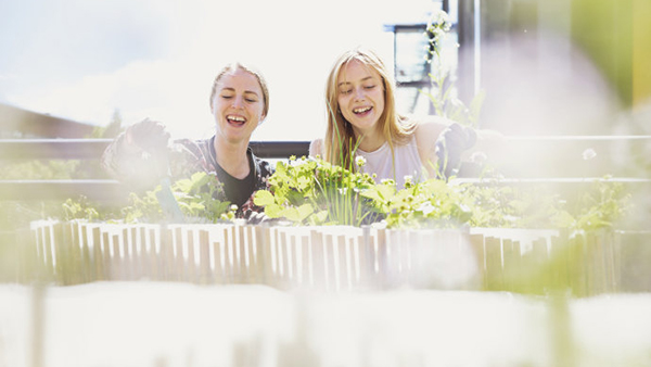 To smildende studenter i en studenthage med grønne planter i forgrunnen 