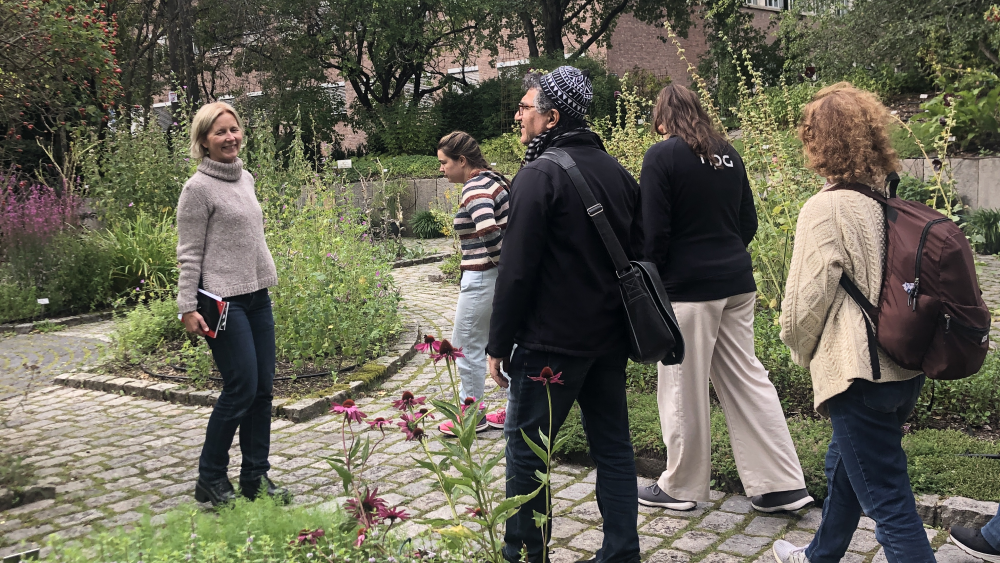 Studenter på tur i et grøntområde sammen med parksjef Ane Guldahl.