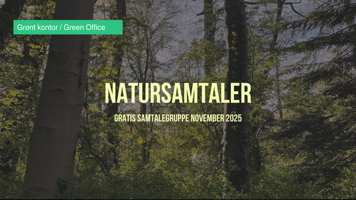 Bildet kan inneholde: skog, jungel, regnskog, tropiske og subtropiske barskoger, gammel skog.