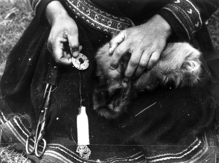 Nærbilde av en kvinne i folkedrakt med saks og som holder en skinnfell og en sirkelformet gjenstand på ca. 4 cm i hendene. Sort-hvitt foto.