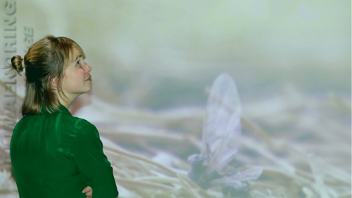 Ung kvinne som betrakter en bildevegg i Klimahuset til Naturhistorisk museum
