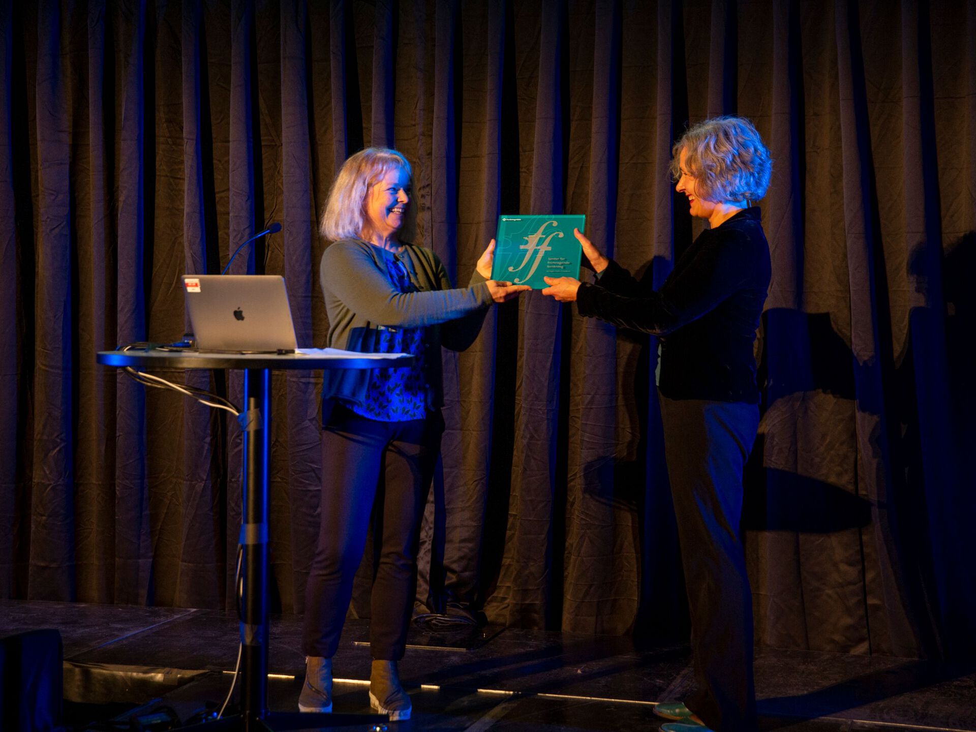 Liv Furuberg from the Research Council of Norway handed over the Centre of Excellence plaque to director Anne Danielsen.